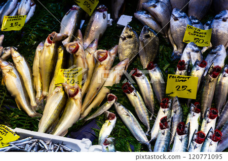 Fresh fish at seafood market in Istanbul. On the price tags names of fish in turkish Fresh fish at seafood market in Istanbul. On the price tags names of fish in turkish 120771095