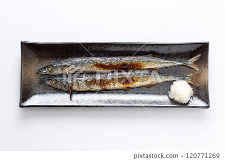 Salt-grilled saury Salt-grilled saury 120771269