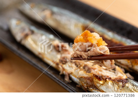 Salt-grilled saury Salt-grilled saury 120771386