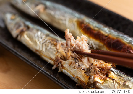Salt-grilled saury Salt-grilled saury 120771388