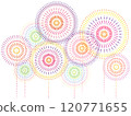 Fireworks 120771655