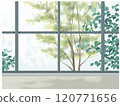 Window frame and green tree 120771656