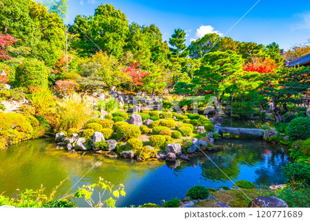 Autumn in Kyoto: Toji-in Temple Garden 120771689