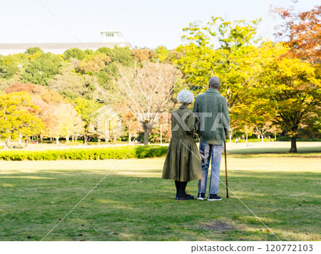 Senior couple looking up at the sky in the park 120772103