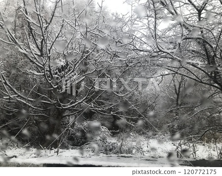Winter landscape of trees covered with hoarfrost in the forest. Snowfall through the windshield of a car during a snowfall. Winter landscape of trees covered with hoarfrost in the forest. Snowfall through the windshield of a car during a snowfall. 120772175