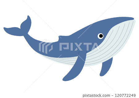 An illustration of a whale 120772249