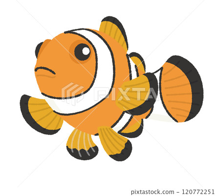 小丑魚的插圖 120772251