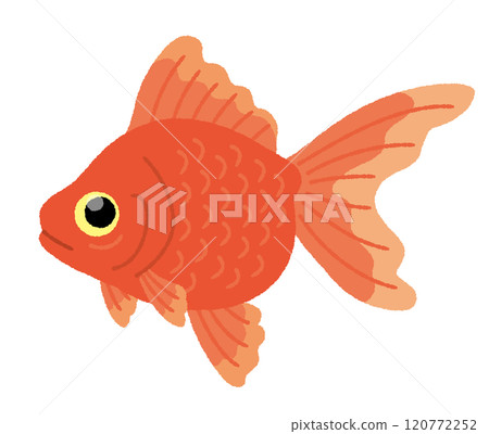金魚的插圖 120772252