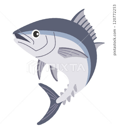 金槍魚的插圖 120772253