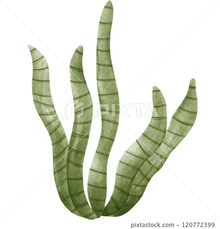 Various colored corals Various colored corals 120772399