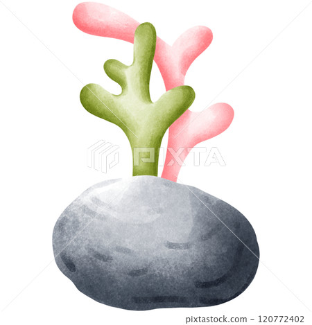 Various colored corals 120772402