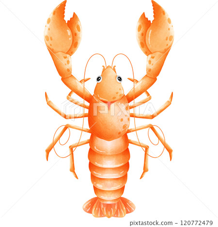 Colorful creatures of the ocean Colorful creatures of the ocean 120772479