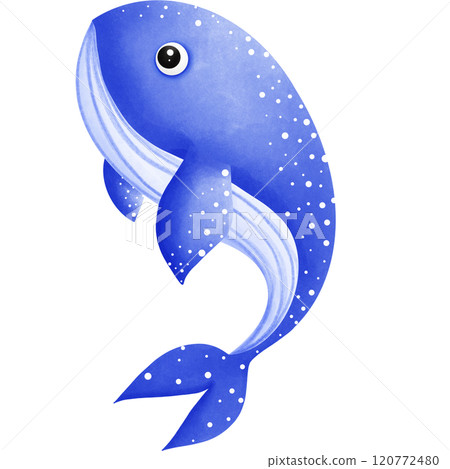 Colorful creatures of the ocean Colorful creatures of the ocean 120772480