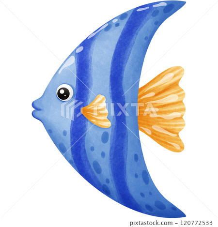 Colorful creatures of the ocean 120772533