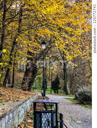 Old wood bench in the autumn park. Autumn nature landscape with yellow leaves on the ground in gloomy day Old wood bench in the autumn park. Autumn nature landscape with yellow leaves on the ground in gloomy day 120772741