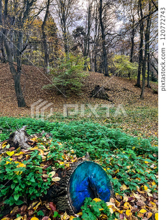 Old wood bench in the autumn park. Autumn nature landscape with yellow leaves on the ground in gloomy day Old wood bench in the autumn park. Autumn nature landscape with yellow leaves on the ground in gloomy day 120772743