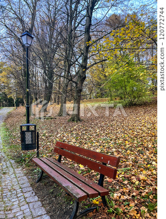 Old wood bench in the autumn park. Autumn nature landscape with yellow leaves on the ground in gloomy day 120772744