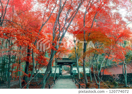 Jizo-in Kyoto Jizo-in Kyoto 120774072