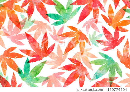 Autumn leaves 120774504