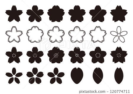 Cherry blossom icon Vector illustration of cherry blossom symbol 120774711