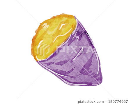 水彩風格繪製的有機新鮮半紅薯向量圖素材 120774967