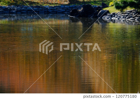 晚秋Hamarikyu花園 晚秋Hamarikyu花園 120775180