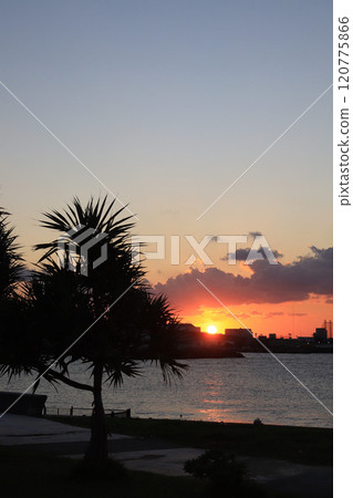 從海岸看日落 120775866