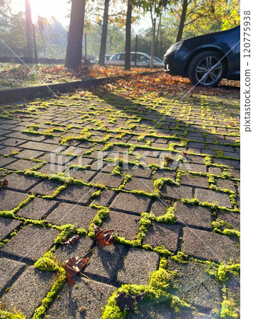 Eco-friendly parking lot made of concrete cells and sod grass. Car in modern outdoor parking lot in fall. Sunrise.  120775938
