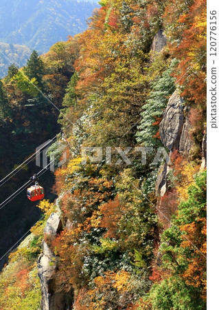 紅葉的御在所山和禦在所纜車 120776156
