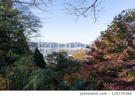 從足羽山眺望的景色(足羽山公園) 從足羽山眺望的景色(足羽山公園) 120776366