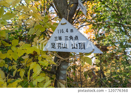 Summit of Mt. Asuwayama (Asuwayama Park) 120776368