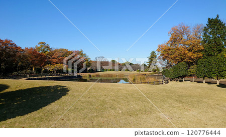 Community Park in Yachiyo Town, Ibaraki Prefecture Community Park in Yachiyo Town, Ibaraki Prefecture 120776444