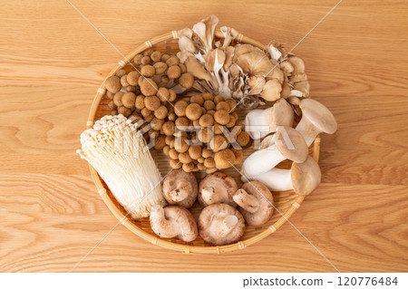 A collection of various mushrooms A collection of various mushrooms 120776484