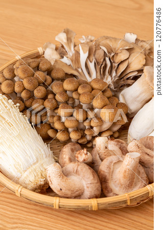 A collection of various mushrooms 120776486