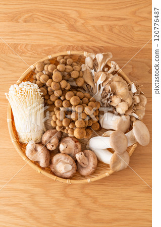A collection of various mushrooms 120776487