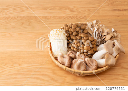 各種蘑菇的集合 120776531