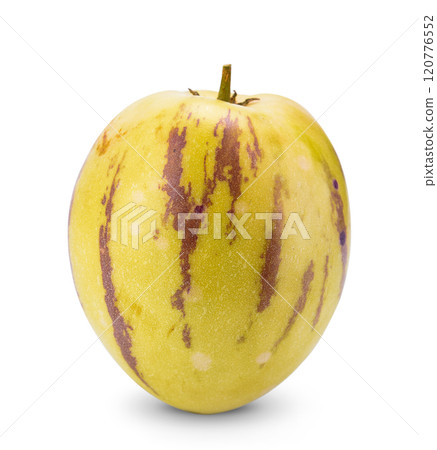 Pepino melon fruit isolated on white background Pepino melon fruit isolated on white background 120776552