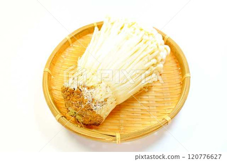 Enokitake mushroom, Enoki mushroom, Nametake mushroom, Namesuki mushroom, Saxifrage mushroom 120776627