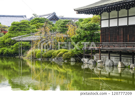 平安神宮(11月)東神園 平安神宮(11月)東神園 120777209
