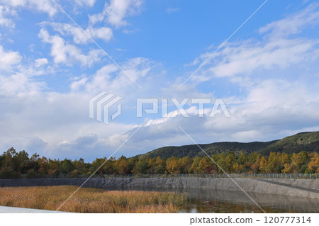 Mountains, trees and pond Mountains, trees and pond 120777314