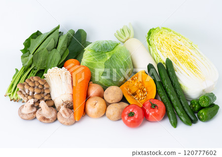 各種蔬菜和蘑菇的集合 120777602