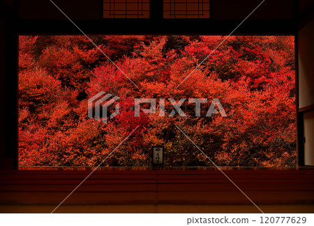 Ankokuji的Dokudonzuji 120777629