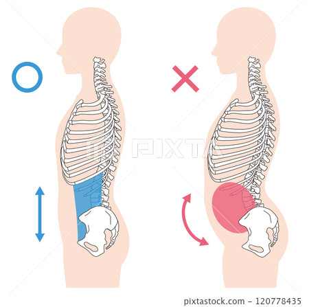 肋骨打開，下背呈拱形，正確的姿勢和下背呈拱形 120778435