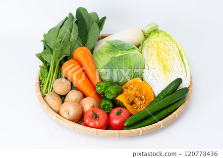 各種蔬菜的集合 各種蔬菜的集合 120778436