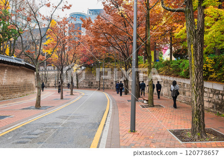 Autumn in Seoul: Doldam-gil (Stonewall Path) 120778657