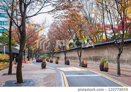 Autumn in Seoul: Doldam-gil (Stonewall Path) 120778659