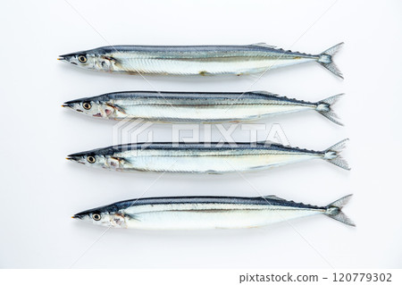 生秋刀魚 生秋刀魚 120779302