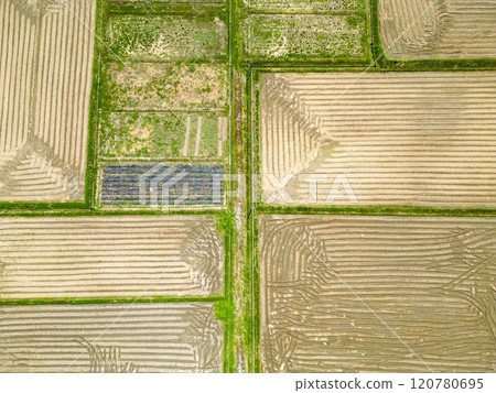 Spring countryside scenery 120780695