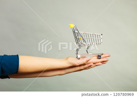 Woman hand holding small tiny shopping cart Woman hand holding small tiny shopping cart 120780969