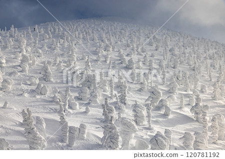 山形縣藏王樹冰 120781192